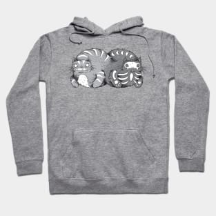 Quantum Cat Curiosity Hoodie